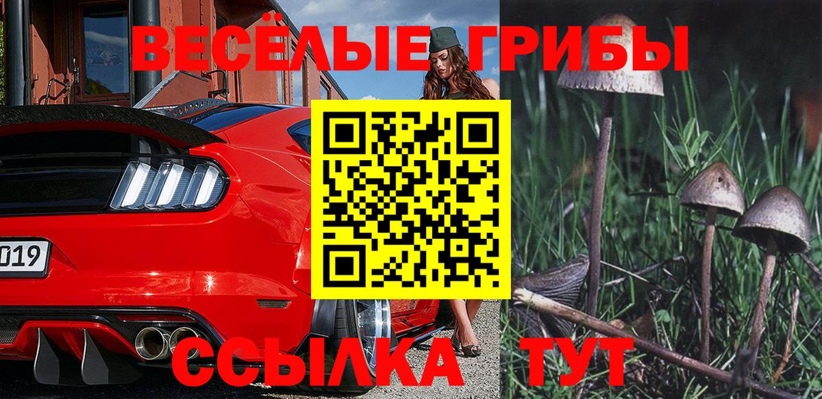 Галлюциногенные грибы ЛСД Нерюнгри