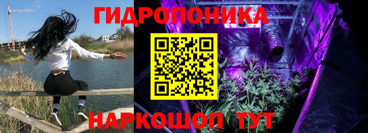 Шишки марихуана Ganja Нерюнгри